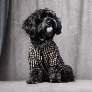 BOSS Dog Rain Jacket